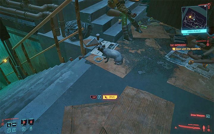 Tak, aczkolwiek ich różnorodność będzie raczej niewielka - Cyberpunk 2077: Najczęściej zadawane pytania - Cyberpunk 2077 - poradnik do gry