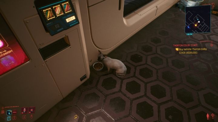 Trzeba dodać, że w Cyberpunk 2077 możesz zdobyć kota, który zamieszka w Twoim mieszkaniu - Cyberpunk 2077: Wszystkie mieszkania V - Cyberpunk 2077 - poradnik do gry