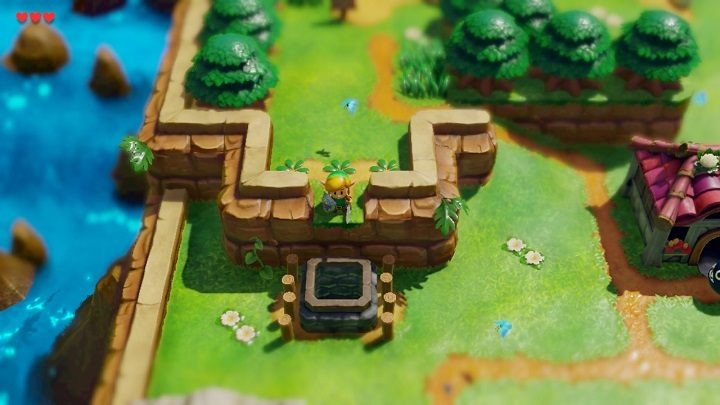 Idź na wzgórze nad studnią, użyj miecza, aby usunąć trawę i wskocz do studni - Tail Cave | Solucja The Legend of Zelda Links Awakening - The Legend of Zelda Links Awakening - poradnik do gry