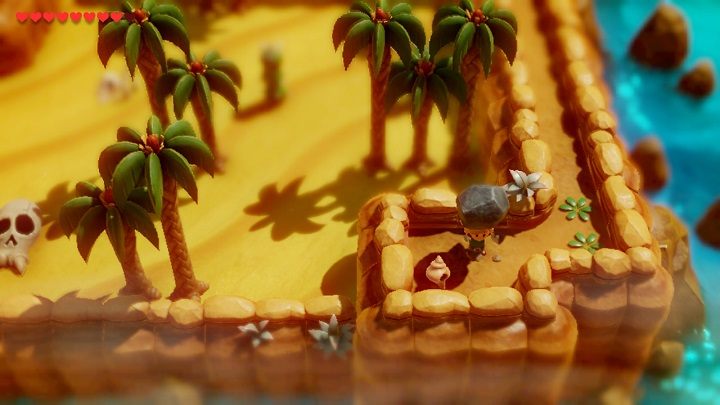 Skorzystaj z porady Posągu Sowy i zejdź w dół w pobliżu kaktusów - Anglers Tunnel | Solucja The Legend of Zelda Links Awakening - The Legend of Zelda Links Awakening - poradnik do gry