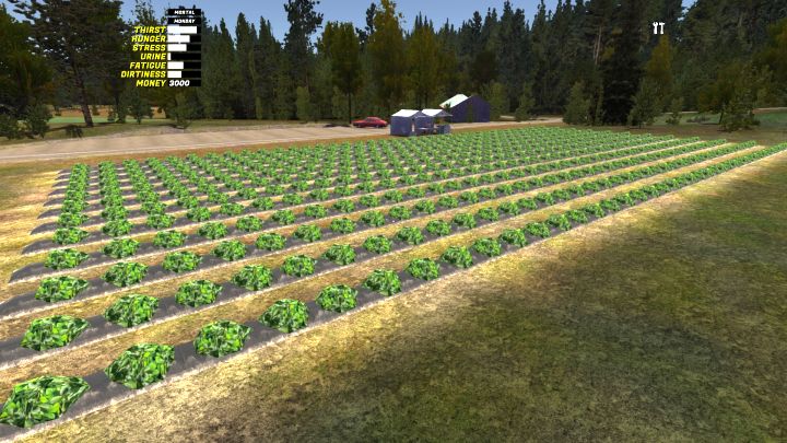 1 - My Summer Car: Zbieranie truskawek - My Summer Car - poradnik do gry