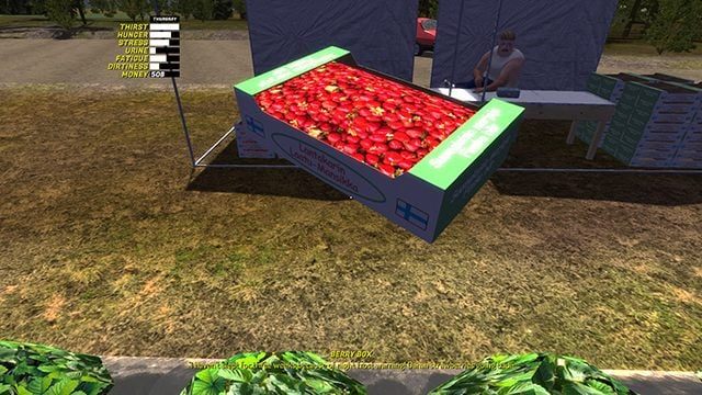 5 - My Summer Car: Zbieranie truskawek - My Summer Car - poradnik do gry