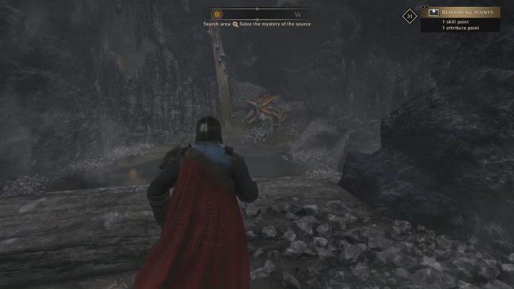 W pewnym momencie trafisz do pomieszczenia z miską wody - GreedFall: Próba Wody - solucja, opis przejścia - GreedFall - poradnik do gry