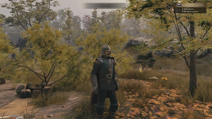 Większy region, który jest dość ważny fabularnie - GreedFall: Mapa świata - GreedFall - poradnik do gry