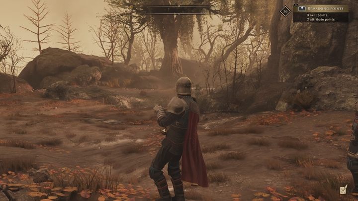 Bagienny obszar, w którym odnajdziesz interesującego pustelnika - GreedFall: Mapa świata - GreedFall - poradnik do gry