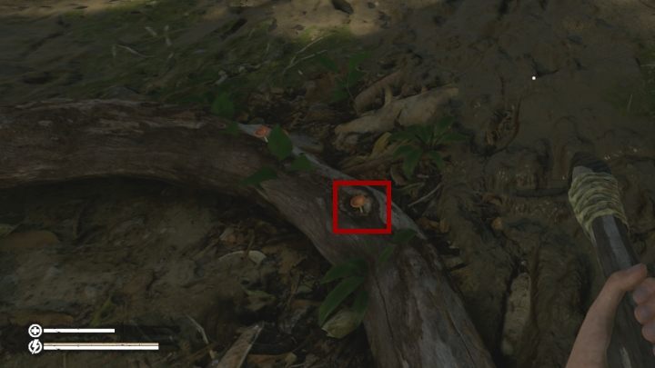 Świetnie sprawdza się tutaj Nieznany grzyb - Green Hell: Choroby - jak leczyć? - Green Hell - poradnik do gry