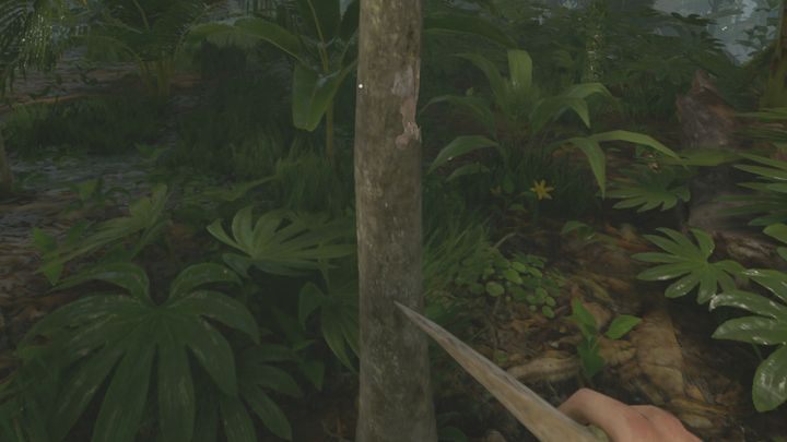 Ostrze jest narzędziem, które umożliwia ci obróbkę drewna oraz pozyskiwanie mięsa z martwych zwierząt - Green Hell: Najprzydatniejsze schematy - jakie? - Green Hell - poradnik do gry