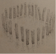 50 x kij - Green Hell: Pułapki - schematy - Green Hell - poradnik do gry