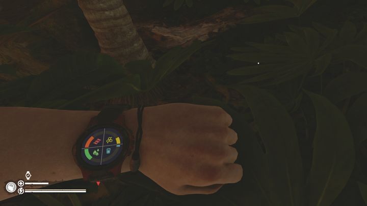 Brudna woda daje 100% gwarancji nabawienia się choroby pasożytniczej - Green Hell: Głód i pragnienie - Green Hell - poradnik do gry