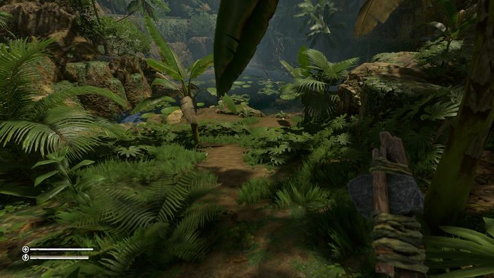 Poszukiwanie zapasów zmusi cię do poruszania się po mapie - Green Hell: Porady na start - Green Hell - poradnik do gry