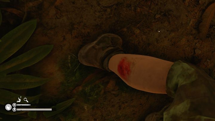 Możesz przebadać wszystkie cztery kończyny - Green Hell: Inspekcja - Green Hell - poradnik do gry