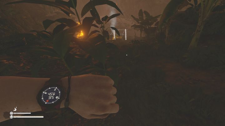 Lokalna woda jest niepewna, więc masz szansę napić się jej bezpośrednio ze zbiornika i nie nabawić się pasożytów - Green Hell: Obóz - gdzie najlepiej rozbić? - Green Hell - poradnik do gry