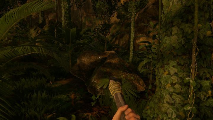 Lokacja ta ma jednak jeden istotny minus - Green Hell: Obóz - gdzie najlepiej rozbić? - Green Hell - poradnik do gry