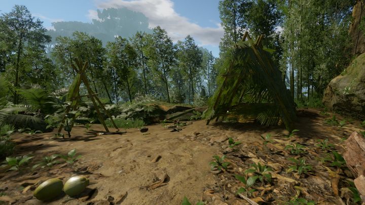 Znajdziesz tutaj schemat bambusowej wędzarni oraz łuk - Green Hell: Ciekawe lokacje na mapie - jakie? - Green Hell - poradnik do gry