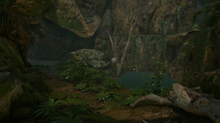 Jeśli udasz się na północ od obozu handlarzy narkotyków, natrafisz na niewielką oazę - Green Hell: Ciekawe lokacje na mapie - jakie? - Green Hell - poradnik do gry