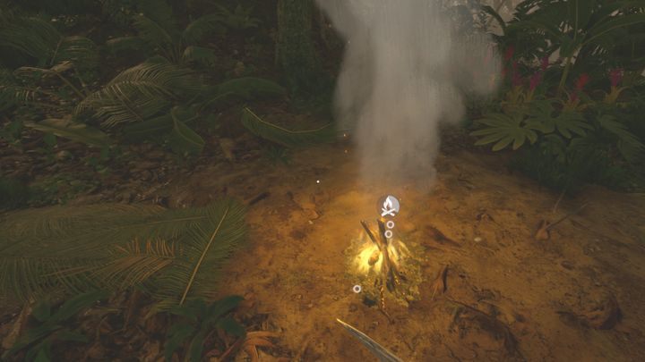 1 - Green Hell: Ciekawe lokacje na mapie - jakie? - Green Hell - poradnik do gry