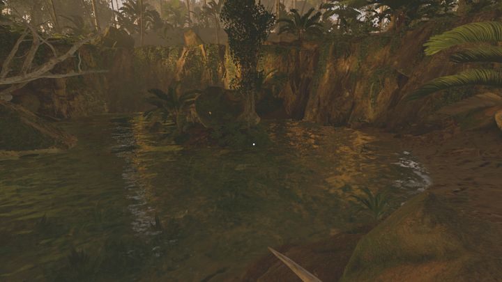 Na mapie znajdziesz tylko jeden strumień, w którym płynie czysta woda - Green Hell: Czysta woda - gdzie znaleźć? - Green Hell - poradnik do gry