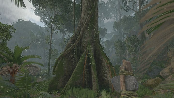 Drzewo brazylijskiego orzecha znajdziesz na obszarach, które zamieszczone są na mapach 2 i 3 (jedno z nich znajdziesz między innymi przy głównej osadzie tubylców) - Green Hell: Orzechy brazylijskie - gdzie znajdę? - Green Hell - poradnik do gry