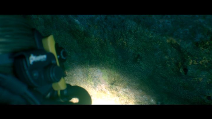 Rozdział - Dive - Sekrety w The Dark Pictures Man of Medan - The Dark Pictures Man of Medan - poradnik do gry