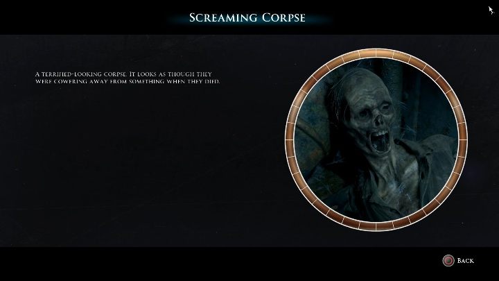 Ten sekret to szkielet, który leży pośrodku korytarza - Sekrety w The Dark Pictures Man of Medan - The Dark Pictures Man of Medan - poradnik do gry