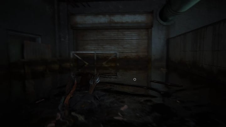 Płyń teraz kolejnym odcinkiem wodnym, aż dotrzesz do obszaru z opuszczonym konarem - przepłyń pod nim i dalej wpłyń do bazy wilków - The Last of Us 2: Szpital - solucja, opis przejścia - The Last of Us 2 - poradnik do gry