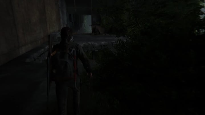 2 - The Last of Us 2: Droga do Akwarium - solucja, opis przejścia - The Last of Us 2 - poradnik do gry