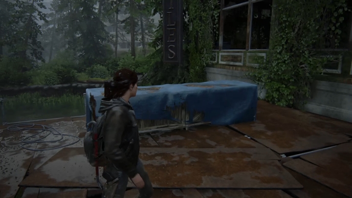 Wejdź teraz do budynku, idź na góre, przejdź na rusztowanie i kieruj się do rzeki - The Last of Us 2: Droga do Akwarium - solucja, opis przejścia - The Last of Us 2 - poradnik do gry