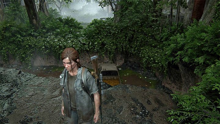 To karta kolekcjonerska - The Last of Us 2: Hillcrest sekrety, znajdźki - The Last of Us 2 - poradnik do gry