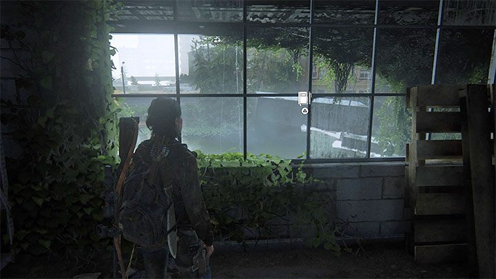 W tym samym miejscu, w którym znalazłeś pokazane powyżej zwłoki, podejdź do okiennicy w etapie Zatopione miasto - The Last of Us 2: Zatopione miasto sekrety, znajdźki - The Last of Us 2 - poradnik do gry