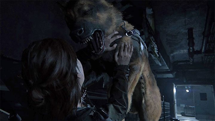 W etapie Infiltracja musisz w ramach rozgrywania tej misji awansować do sekcji, w której Ellie zaatakowana zostanie przez psa - The Last of Us 2: Infiltracja / Infiltration sekrety, znajdźki - The Last of Us 2 - poradnik do gry