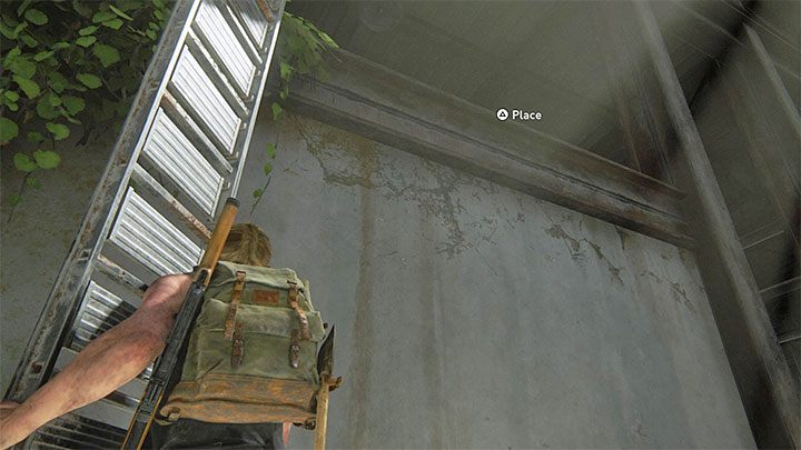 Podnieś drabinę, ale nie idź jeszcze z nią w stronę łodzi - The Last of Us 2: Pieszo / On Foot sekrety, znajdźki - The Last of Us 2 - poradnik do gry