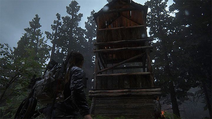 To artefakt - The Last of Us 2: Wyspa / The Island sekrety, znajdźki - The Last of Us 2 - poradnik do gry