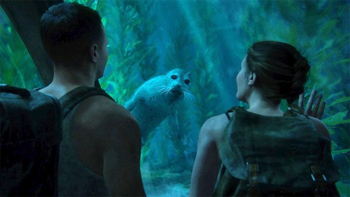 W trakcie rozgrywania etapu Akwarium, czyli jednego z flashbacków na dla postaci Abby, bohaterowie dotrą do zbiornika, w którym pływa żywa foka - The Last of Us 2: Easter-eggi - rozdziały Abby - The Last of Us 2 - poradnik do gry