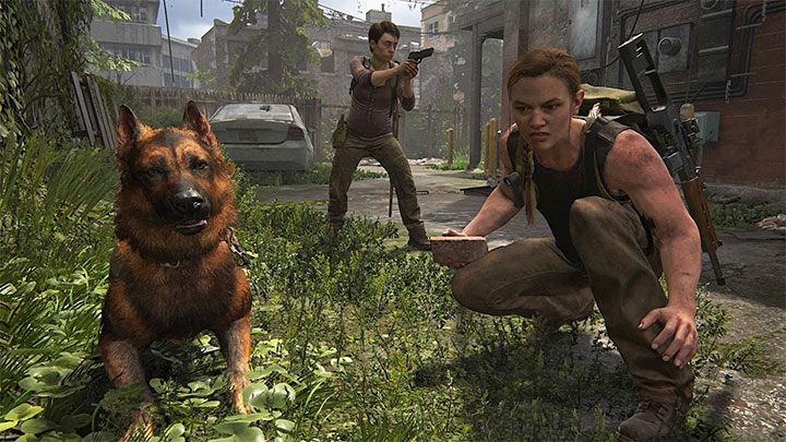Alice to imię suczki wytresowanej przez Washington Liberation Front - jedną z nietypowych cech tej frakcji jest właśnie to, że posiadają psy obronne - The Last of Us 2: Inne postacie - The Last of Us 2 - poradnik do gry