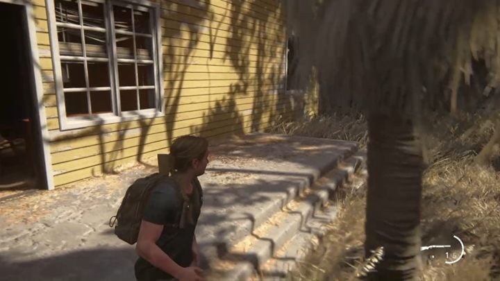 Następnie idź na tył budynku i wejdź przez okno na tył - The Last of Us 2: Constance 245 - solucja, opis przejścia - The Last of Us 2 - poradnik do gry
