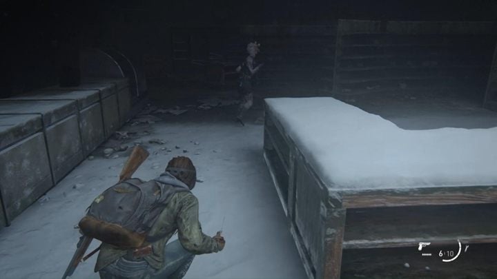 Przeszukaj okolice, a następnie z pomocą Diny podnieście gablotę i przejdźcie dalej - The Last of Us 2: Punkt Widokowy, Patrol - solucja, opis przejścia - The Last of Us 2 - poradnik do gry