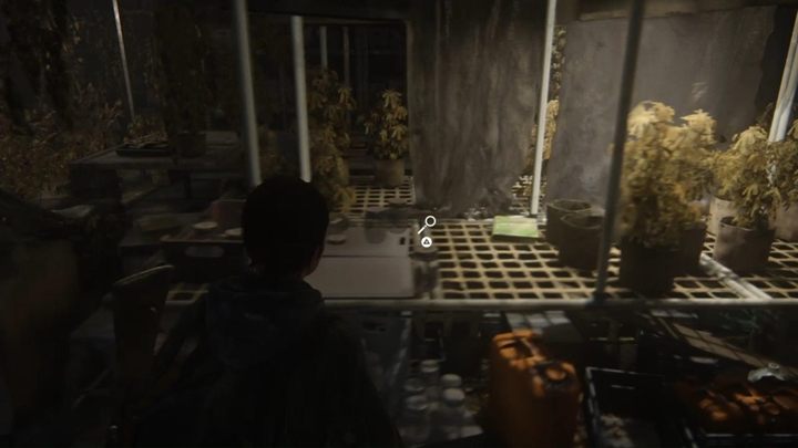 Schodząc na dół traficie do piwnicy z hodowlą różnych ziół - The Last of Us 2: Punkt Widokowy, Patrol - solucja, opis przejścia - The Last of Us 2 - poradnik do gry