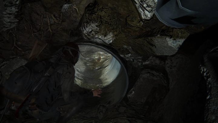 Idźcie w głąb kompleksu i przeczołgajcie się przez rurę - The Last of Us 2: Tunele - solucja, opis przejścia - The Last of Us 2 - poradnik do gry