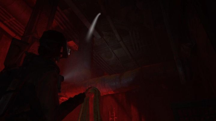 Wyjdź po drabinie na górę i podnieś linę - The Last of Us 2: Tunele - solucja, opis przejścia - The Last of Us 2 - poradnik do gry
