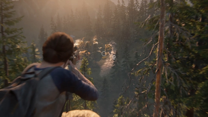 1 - The Last of Us 2: W poszukiwanie strun - solucja, opis przejścia - The Last of Us 2 - poradnik do gry