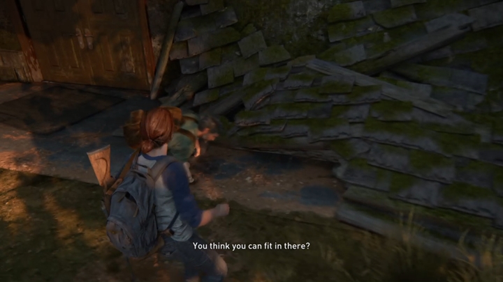 Wsiądź na konia i jedź za Joelem - The Last of Us 2: W poszukiwanie strun - solucja, opis przejścia - The Last of Us 2 - poradnik do gry