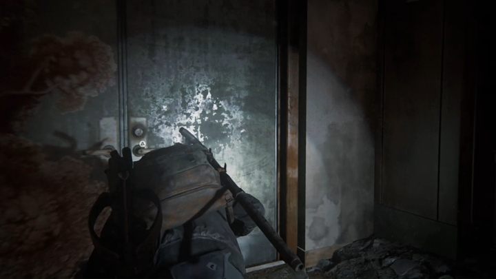 Zejdź jeszcze niżej - The Last of Us 2: Zejście - solucja, opis przejścia - The Last of Us 2 - poradnik do gry