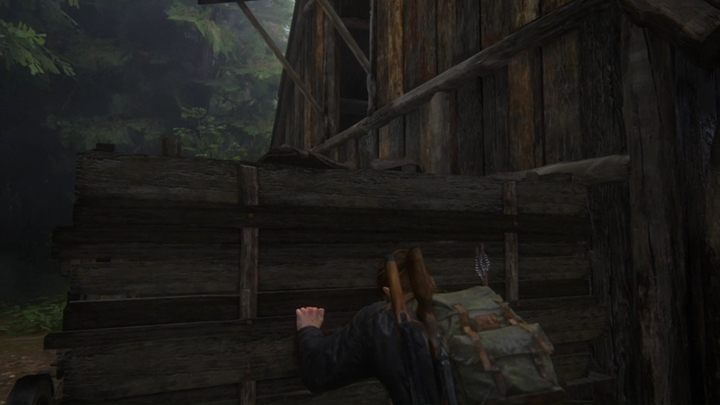 Idź za Yarą - kobieta będzie twoją przewodniczką i będziesz zwiedzał kolejne zakątki wyspy - The Last of Us 2: Wyspa - solucja, opis przejścia - The Last of Us 2 - poradnik do gry