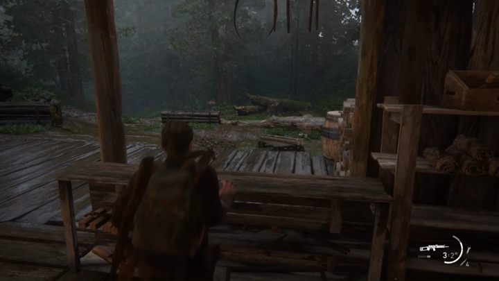Musisz zbiec na dół leśną dróżką - The Last of Us 2: Wyspa - solucja, opis przejścia - The Last of Us 2 - poradnik do gry