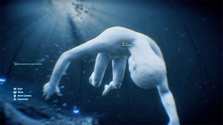 Jeżeli grasz w trybie online, to podczas eksploracji Skraju możesz opcjonalnie zajmować się odnajdywaniem dusz innych poległych graczy - Co się dzieje po śmierci bohatera w Death Stranding? - Death Stranding - poradnik do gry