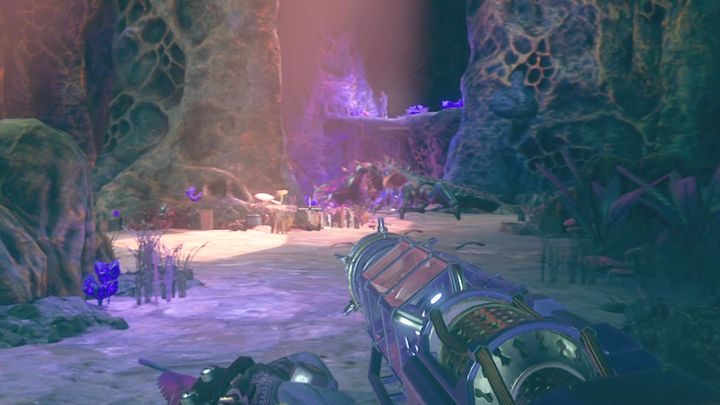 Zadanie to możesz aktywować przechodząc przez Jaskinię Diabelskiego Szczytu - Żuwaczki zagłady | Misja poboczna w The Outer Worlds - The Outer Worlds - poradnik do gry