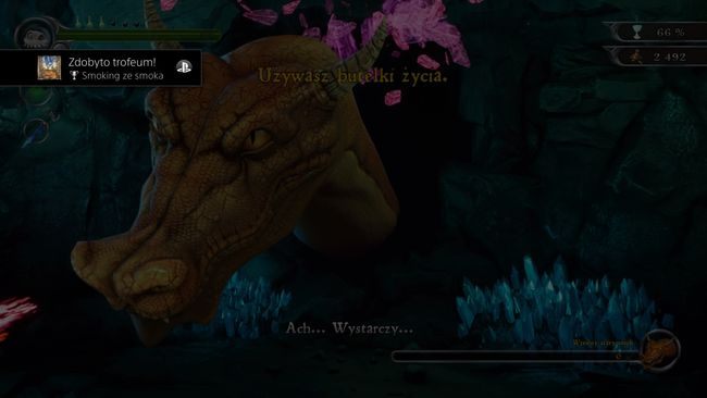 Rodzaj trofeum: srebrne - Trofea | MediEvil - MediEvil - poradnik do gry