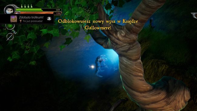 Rodzaj trofeum: brązowe - Trofea | MediEvil - MediEvil - poradnik do gry