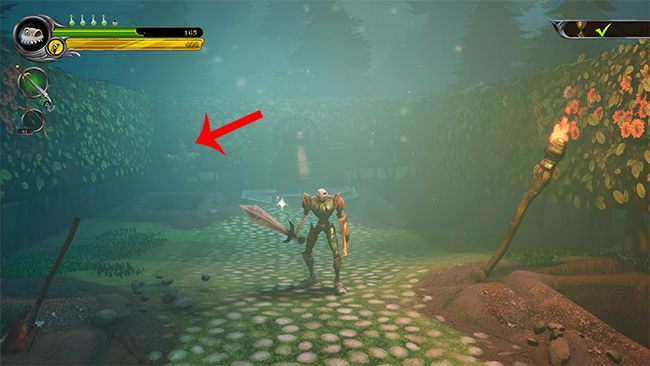 Idąc dalej labiryntem, dojdziecie do żywopłotu z wizerunkiem Zaroka, gdzie znajduje się Czwarta gwiazda - Teren szpitala dla obłąkanych | Opis przejścia MediEvil - MediEvil - poradnik do gry