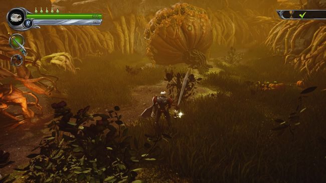 Powinniście teraz móc zebrać Kielich, skierujcie się do wyżej wspominanej studni - Dyniowy wąż | Opis przejścia MediEvil - MediEvil - poradnik do gry